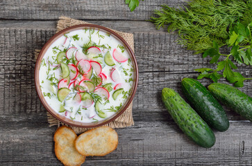 Homemade summer yoghurt cold soup with radish, cucumber, and dill