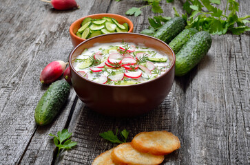 Homemade summer yoghurt cold soup with radish, cucumber, and dill on wooden table