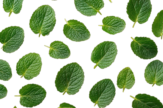 Fresh mint leaves scattered on a black background