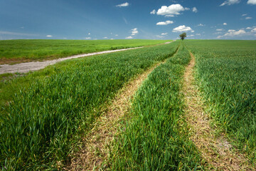Technological path in a green rural field