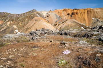 Beautiful wild landscape with colorful mountains in Landmannalaugar - Iceland