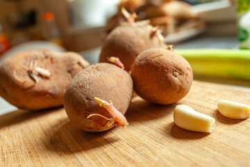 Sprouting potatoes and garlic on a board
