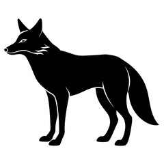 black cat silhouette