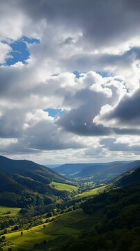 Grassy hills roll and rise in a soft breeze &mdash; a calming rural landscape in smooth loop.
