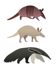 Flat style vector set of animals consists of armadillo, aardvark, anteater.