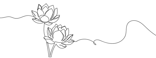 Continuous line, lotus, worship, culture Vector art lines, transparent background, edit stroke.