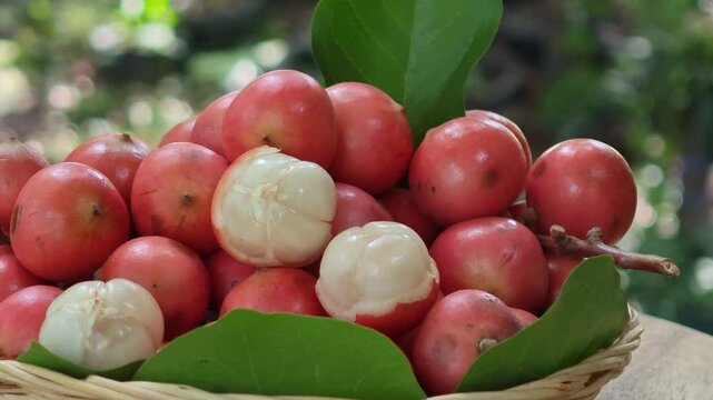 Baccaurea Parviflora on wooden basket
