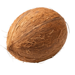 Coconut on a white background showcasing its natural texture and shape in isolation