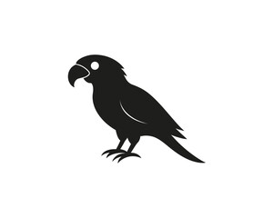 Obraz premium Colorful Parrot Vector Illustration on White Background