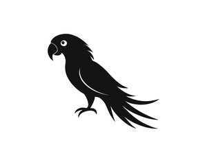 Fototapeta premium Colorful Parrot Vector Illustration on White Background