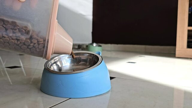 Pouring dry pet food from container into metal bowl with blue holder on tiled floor in home interior during feeding routine with visible kibble falling into dish