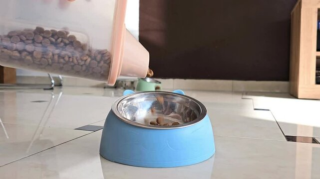 Dry pet food pouring from container into blue pet bowl on floor, kibble falling into metal dish, feeding process for cat or dog at home, close up low angle view