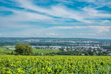 View over the vineyards down into the Rhine Valley near Oestrich-Winkel