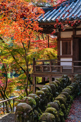 The marvelous Otagi Nenbutsu-ji Temple during fall season in Kyoto, Ukyo ward, Japan.