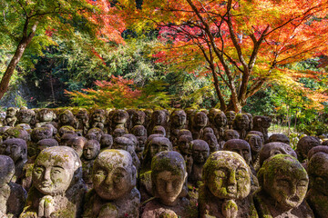 The marvelous Otagi Nenbutsu-ji Temple during fall season in Kyoto, Ukyo ward, Japan.