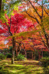 The marvelous Enko-ji Temple during fall season in Kyoto, Sakyo ward, Japan.
