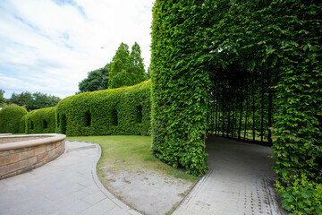 The Hornbeam pergola walk, Alnwick Garden Northumberland