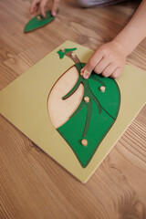 Educational activities for preschool children at home. Child's hands making a green leaf on a wooden table.