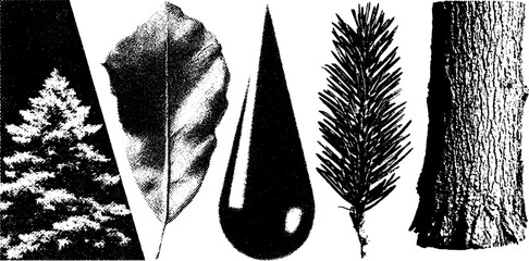 Vintage nature elements with engraving style: leaf, tree, raindrop, pine needle, bark