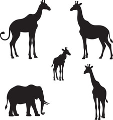 Fototapeta premium animals silhouettes vector