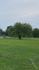 the best photos taken in nature