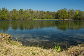 quiet lake in germany on a sunny spring day