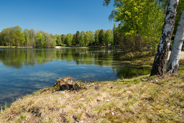 quiet lake in germany on a sunny spring day
