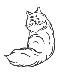 Cartoon doodle style cat outline with fluffy, long tail and charming face. Cute feline drawing for coloring pages, stickers, or playful children art. Vector illustration.