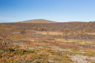 Autumn landscape over a mountain landscape in northern Finland