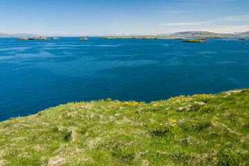 sea landscape in west iceland in summer