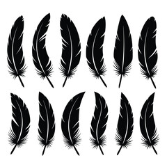 Obraz premium Bird Feather black silhouettes. Plumelet collection. Vector isolated on white