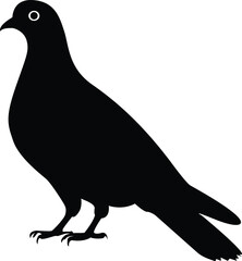 Fototapeta premium Black silhouette of a pigeon or dove in a side view with a white background for design.