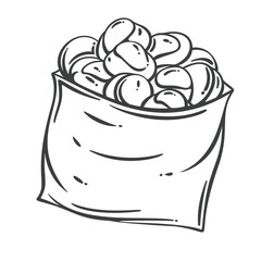 Warm roasted chestnuts with cracked shells served in a paper bag. Engraved monochrome line style. Outline vector illustration for snack packaging, autumn food design, or vintage market prints.
