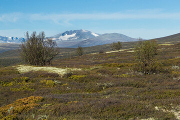 Mountain landscape in the Dovrefjell nationalpark in Norway