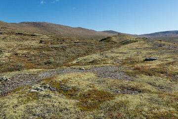 Mountain landscape in the Dovrefjell nationalpark in Norway
