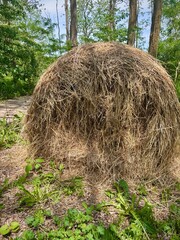 bale of hay in the shade