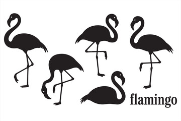Obraz premium Stylized flamingo silhouette collection in multiple natural poses for elegant wildlife designs, tropical prints, and exotic bird-themed vector art