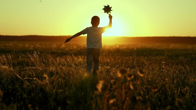 Happy child playing with pinwheel toy outdoors on summer meadow, kid running to sun. Child boy runs with toy wind pinwheel in his hand on summer field. Childhood day, children. Family holiday, nature