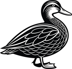 Duck line art, bird silhouette vector, minimal animal icon, waterfowl outline design, simple nature graphic