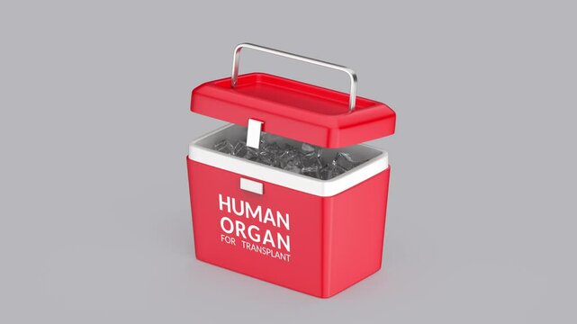 Empty human organ transport box with ice inside