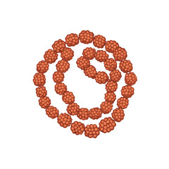 coffee beans isolated on white background