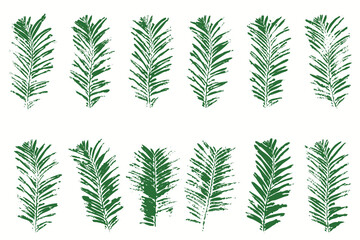 Vector set of fir needle imprints. Natural pine branch prints for Christmas and winter design

