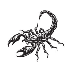 Black scorpion vector illustration isolated on white background with claws and stinger