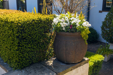The inviting entrance of a charming English cottage with a wooden door and potted plants.