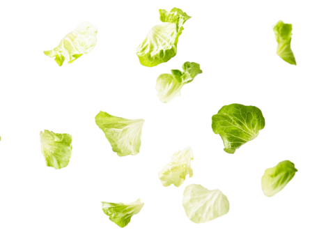 Floating lettuce leaves, green and yellow, transparent background, isolated, food photography, fresh, healthy, vibrant, salad ingredient, culinary, vegetable, organic, diet, nutrition, isolated