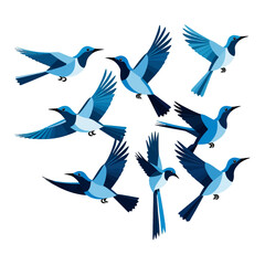 Fototapeta premium Bluebirds Flying Illustration-Vector Art of Birds in Flight-Modern Bird Design-Beautiful Bird Graphics-Nature Inspired Artwork-Wildlife Illustration