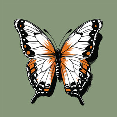 comic book style vector butterfly illustration
