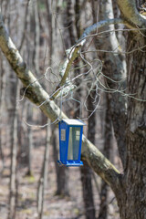 empty blue bird feeder hanging in tree