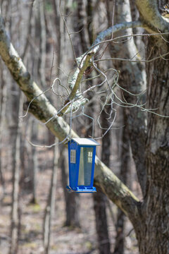 empty blue bird feeder hanging in tree