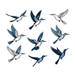 Obraz premium Flying Birds Illustration-Bird Art Designs-Bird Clipart with White Background-Graphic Element for Nature Lovers-Illustration of Birds in Flight-Bird Designs for Decor
